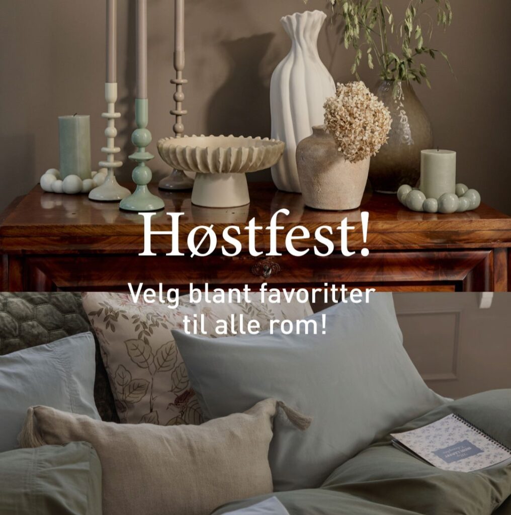 539428280_1209426101229323_8141383508101000593_n